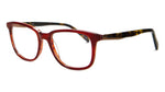 Red and tortoiseshell glasses on a white background