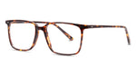 Tortoiseshell eyeglasses on a white background