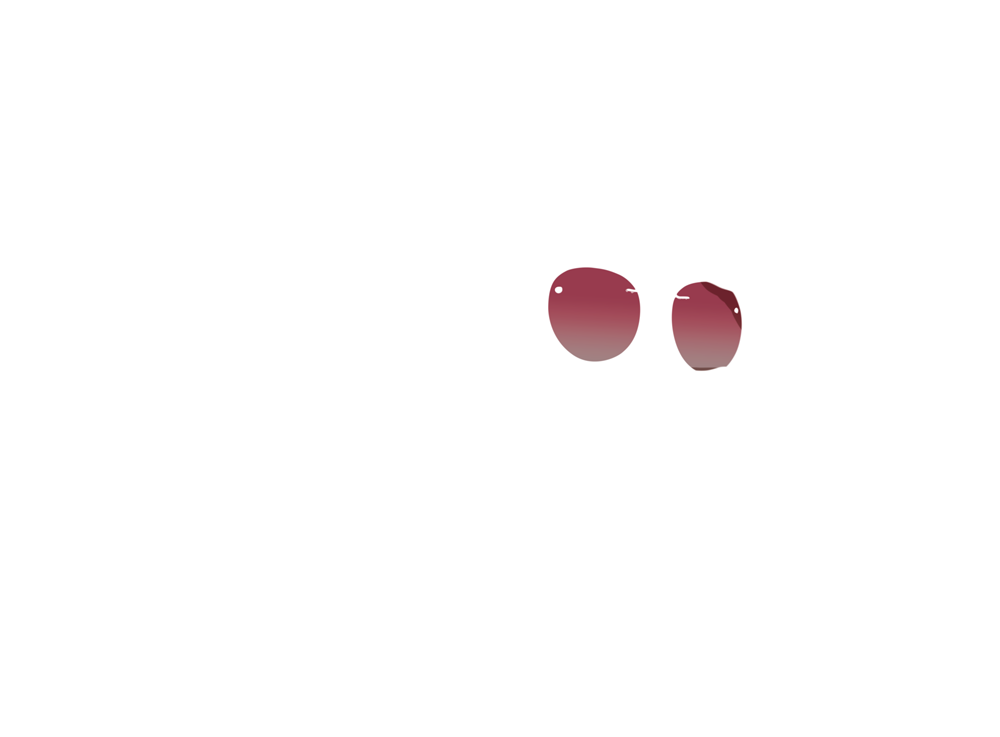Clip-on lens overlay